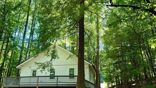 A cabin with a porch, surrounded by tall trees and a forested area.