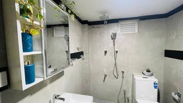 Shower, bidet, towels, soap