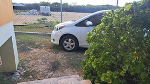 Un estacionamiento con un coche blanco, una entrada pavimentada con un diseño decorativo y un arbusto verde.