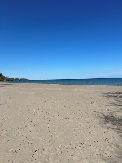 Nature Retreat | Cabin on 40 Acres, 15 Mins from Beaches