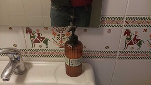 A bathroom sink with a hand soap dispenser, a faucet, and decorative tiles with horse motifs.
