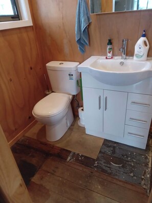 Shower, towels, soap, toilet paper