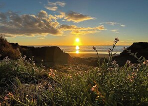 Tæt på stranden