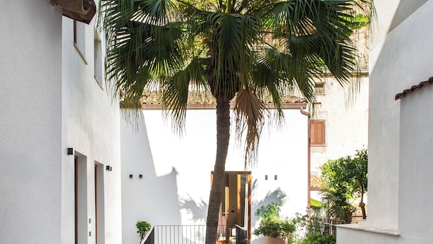 Ein schmaler Innenhof mit einer Palme, einer Treppe und weißen Wänden.