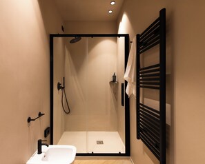 Regadera, secadora de cabello, bidet, toallas 