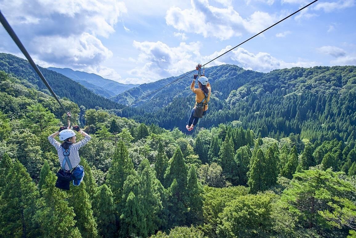 Due persone che sfrecciano su una zip line sopra una valle boscosa con montagne sullo sfondo.