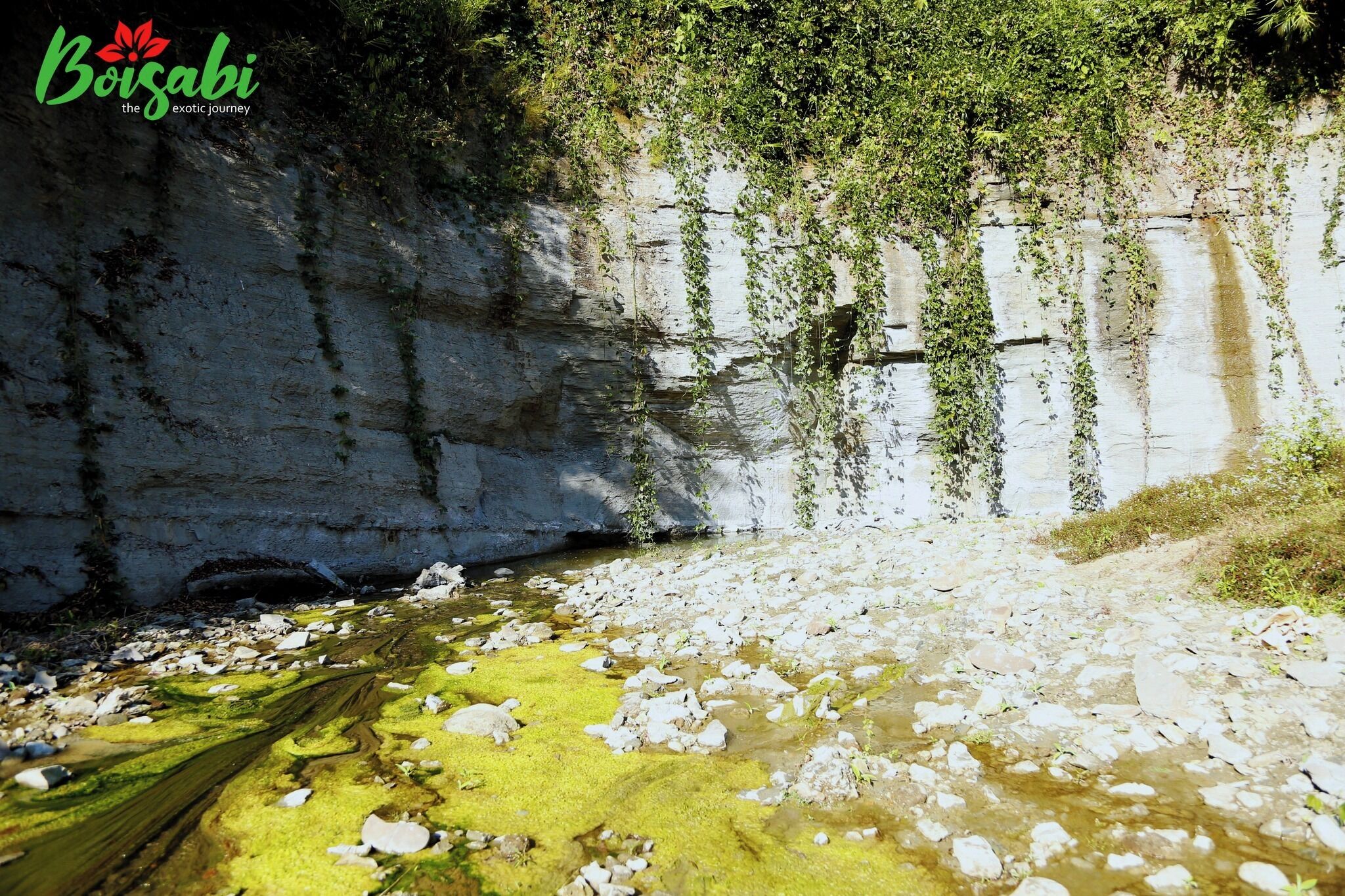 Un espacio natural al aire libre con un arroyo, rocas y vegetación.