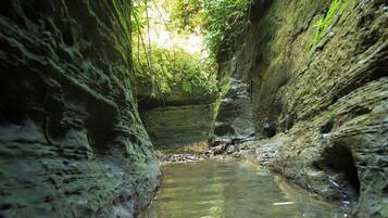 A narrow canyon with a stream running through it.