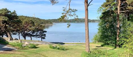 單棟房屋 | 外觀