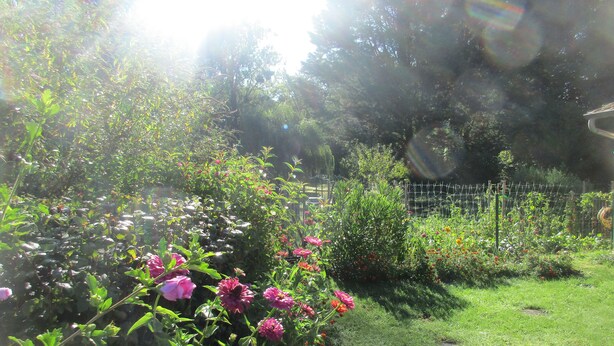 A garden with various plants and flowers, a wooden fence, and a grassy area. - Etape Sologne, flexible accommodation (Neuvy-sur-Barangeon)