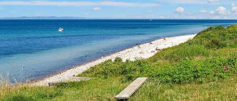 獨棟房屋 | 水景