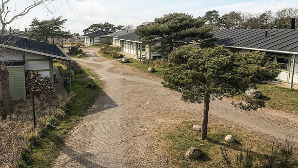 A gravel path leading to a row of cabins with a clear sky above. - 4 Person Holiday Park Home in Gilleleje (Gilleleje)