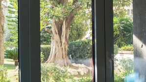 Un grand arbre aux racines épaisses et un jardin bien entretenu, avec diverses plantes et un petit étang.