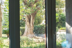 Vista desde la habitación