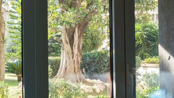 Habitació quàdruple Deluxe, vistes al jardí | Vista des de l'habitació