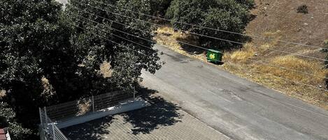 Un camino pavimentado con una cerca metálica a un lado y una calle con un contenedor verde al otro.