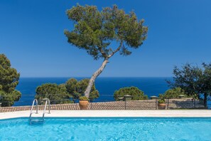 A swimming pool with a metal ladder, surrounded by potted plants, and overlooking a clear blue sky and ocean.