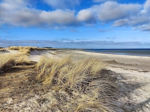House | Beach