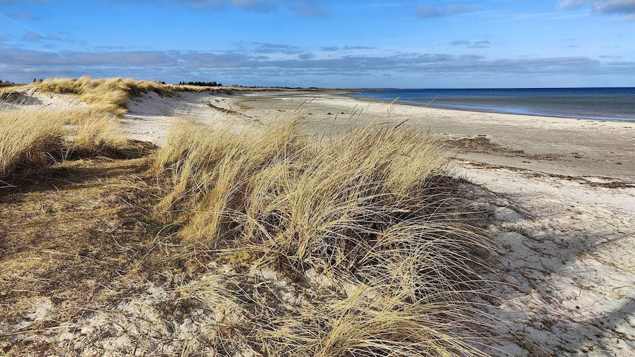 4 Star Holiday Home in Asaa