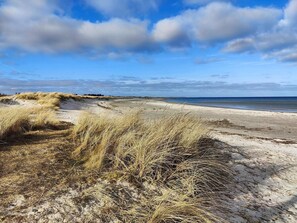 A beach with sand dunes and a clear sky. - 4 Star Holiday Home in Asaa (Asaa)