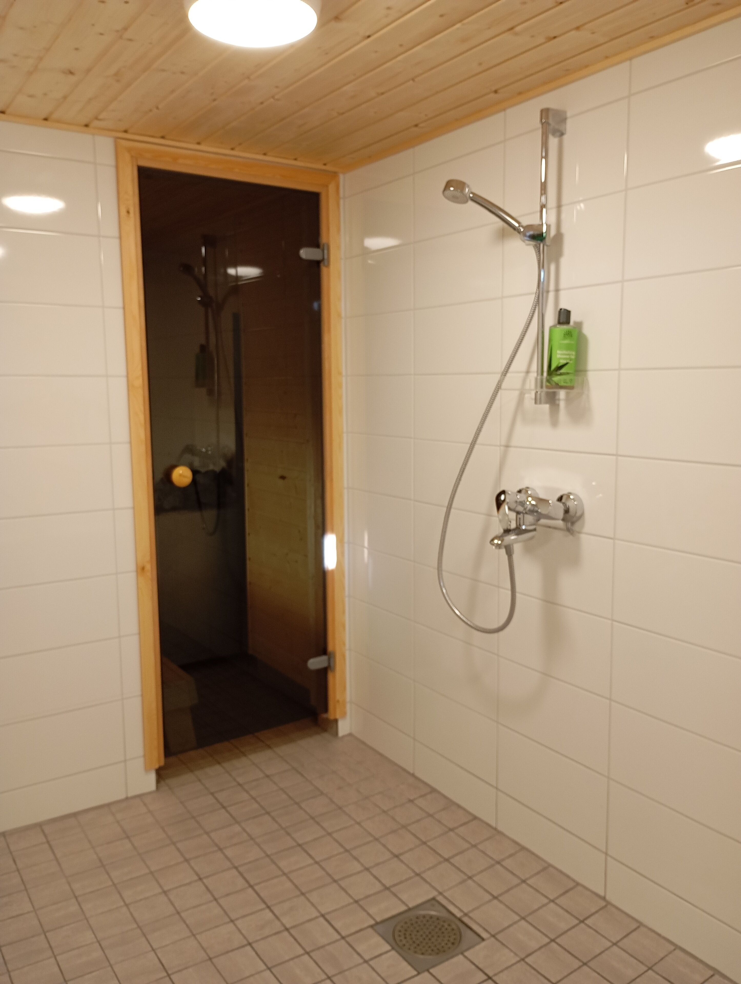 Shower, towels, soap, toilet paper