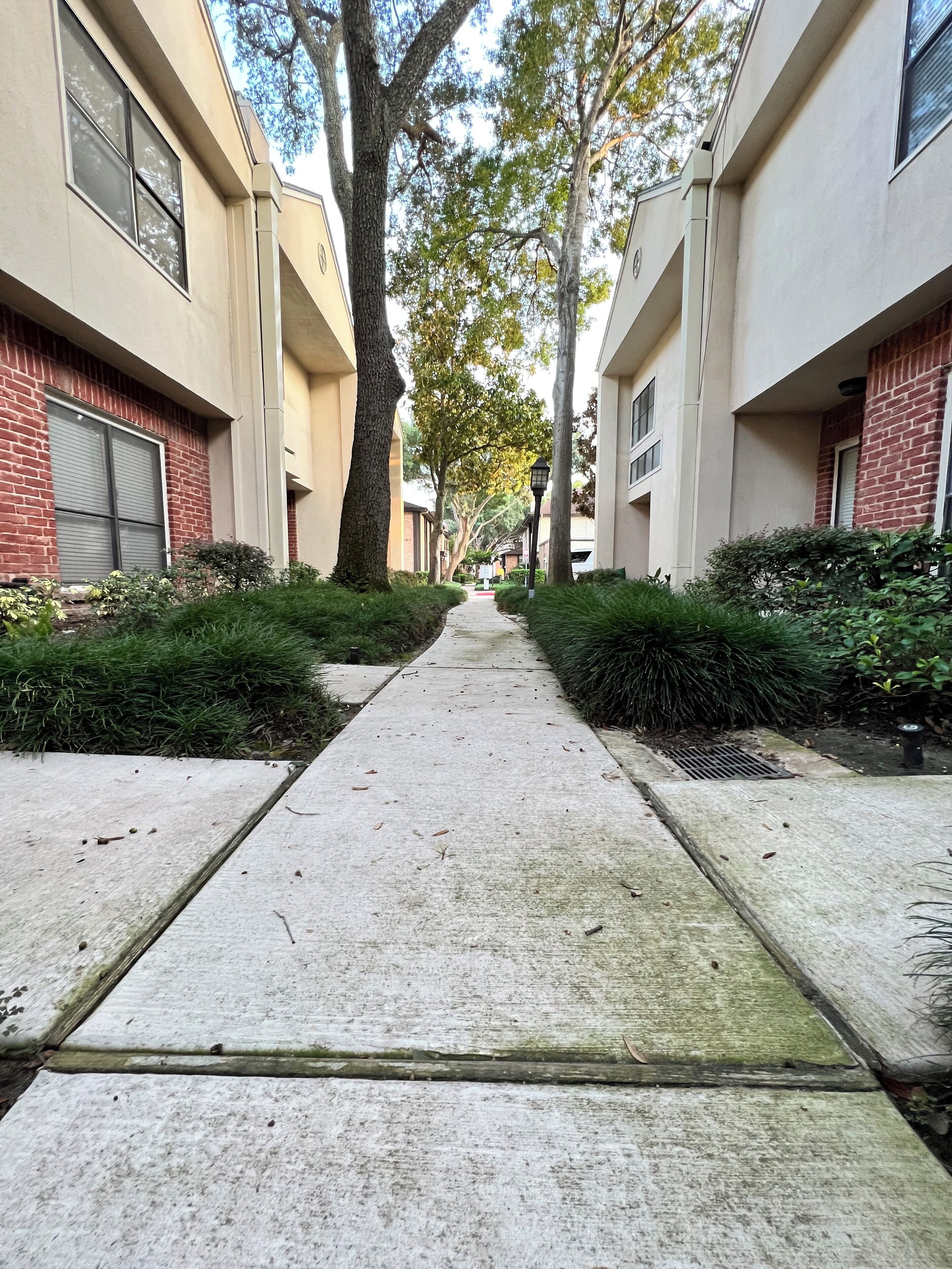 A pathway flanked by buildings with brick and stucco exteriors, lined with trees and shrubs.