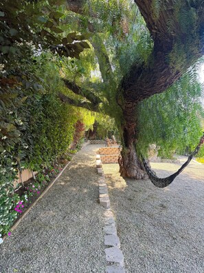 Terrein van de accommodatie