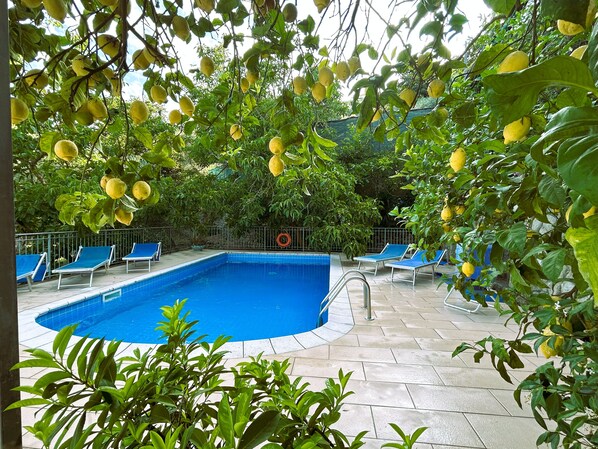 A swimming pool with blue tiles, surrounded by lounge chairs and lemon trees.
