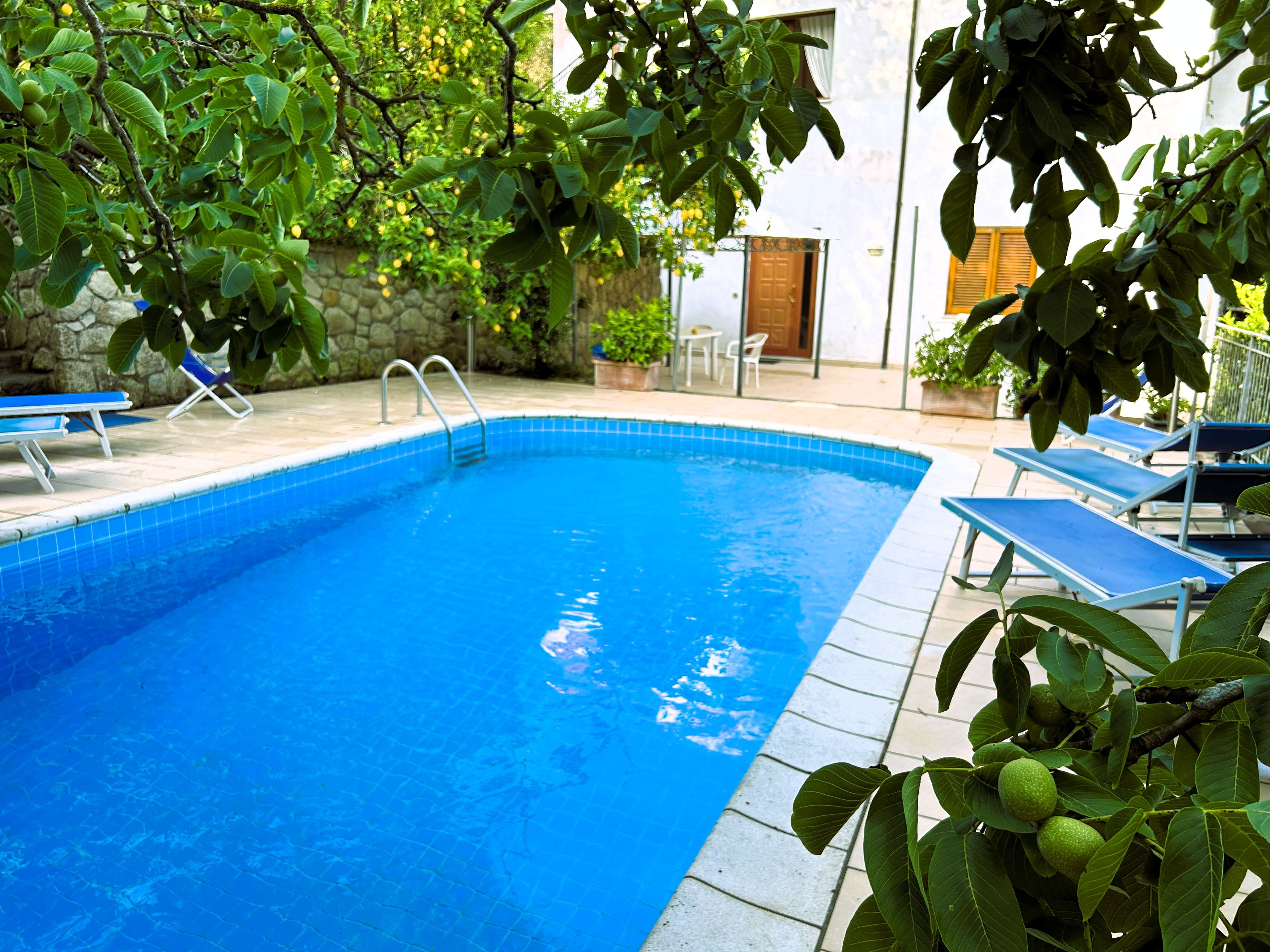 A swimming pool with a stone wall and a wooden door in the background.