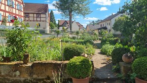 Un sendero en un jardín rodeado de plantas en macetas y diversas flores.