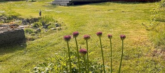 Top renovated red vacation home in Ädelfors by the river Emån, in Småland.