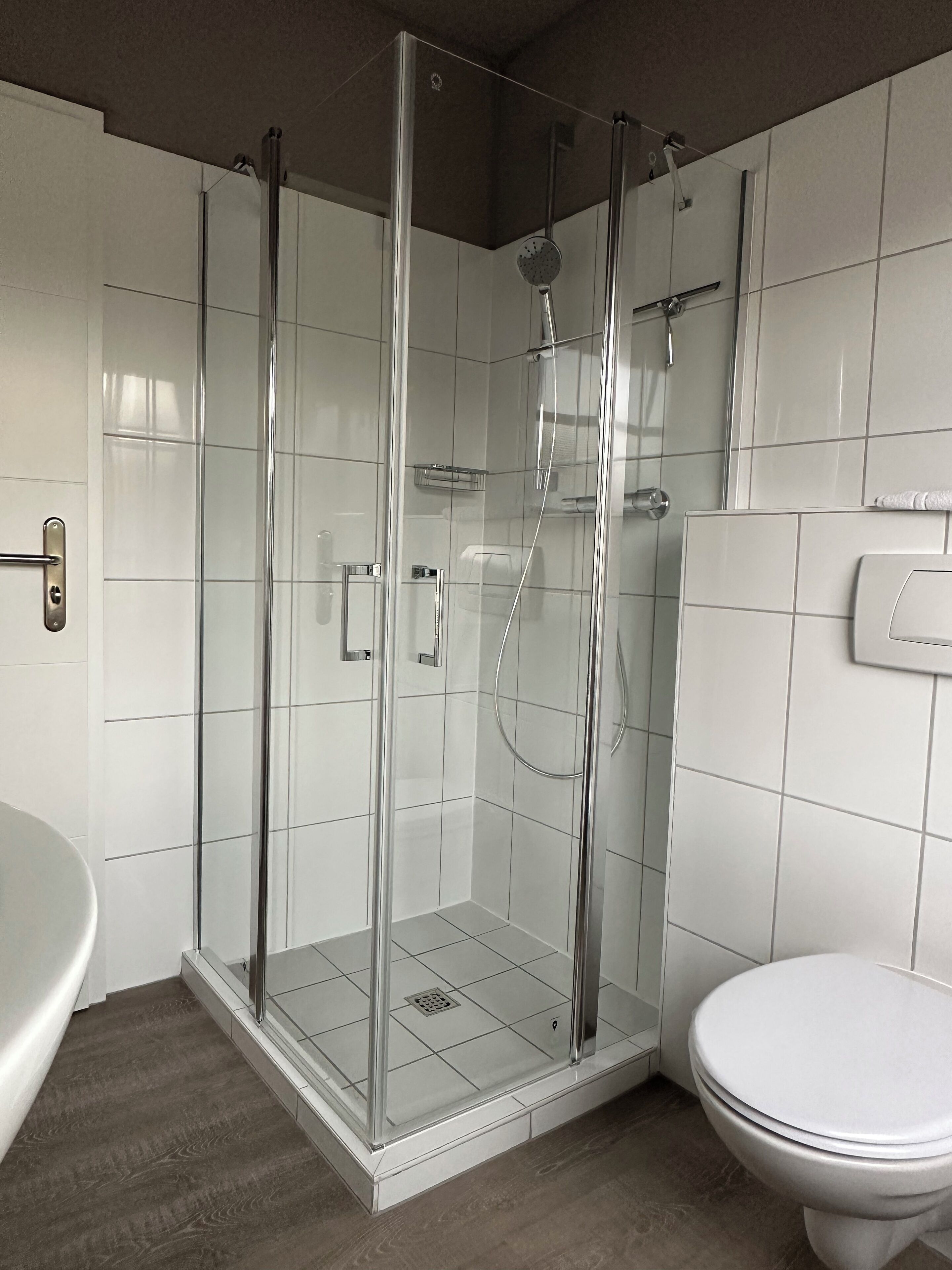 A modern bathroom with a glass-enclosed shower, a toilet, and a sink.