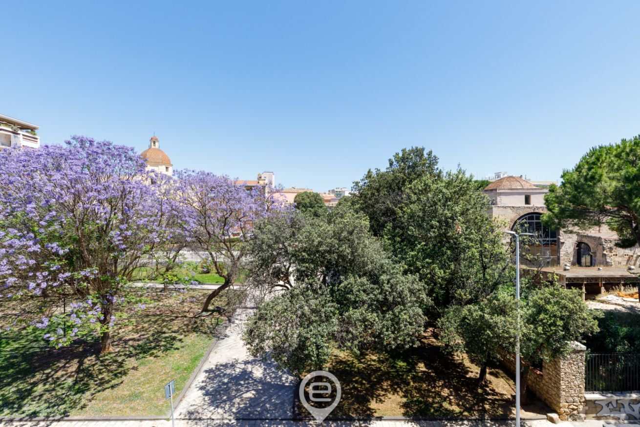 A courtyard with trees, a pathway, and buildings in the background.