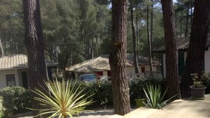 A residential area with tall trees, a house with a tiled roof, and potted plants. - Holiday Home Under the Pines with Shared Pool, Private Terrace, and Wi-Fi (Moliets-Et-Maa)