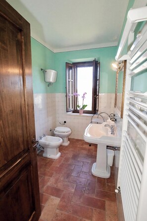 Dusche, Haartrockner, Bidet, Handtücher