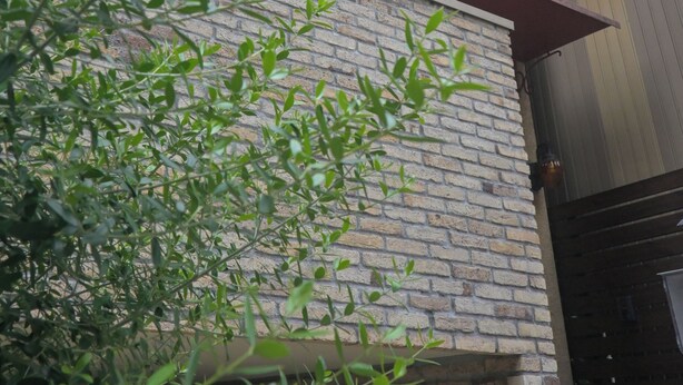 Niet-geclassificeerde afbeelding, 1 van 47, knop