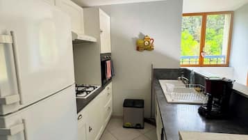 Mikrovågsugn, ugn, spishäll och diskmaskin