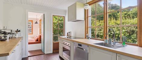 Fridge, oven, stovetop, dishwasher