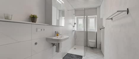 Shower, hair dryer, towels