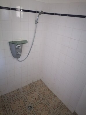 Shower, hair dryer, soap, toilet paper
