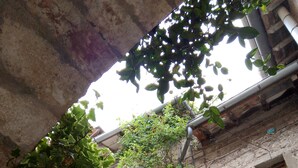 A stone building with a rustic appearance, featuring a metal gate and a window with a metal grille. - The little house in the castle (Caso)