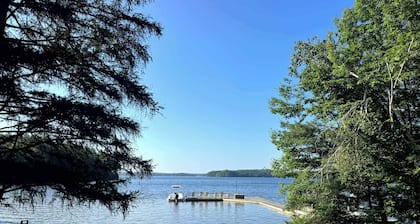 Driftwood on Rosseau