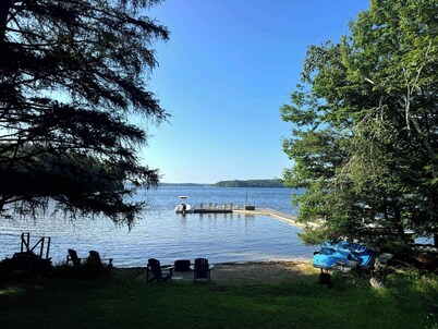 Driftwood on Rosseau