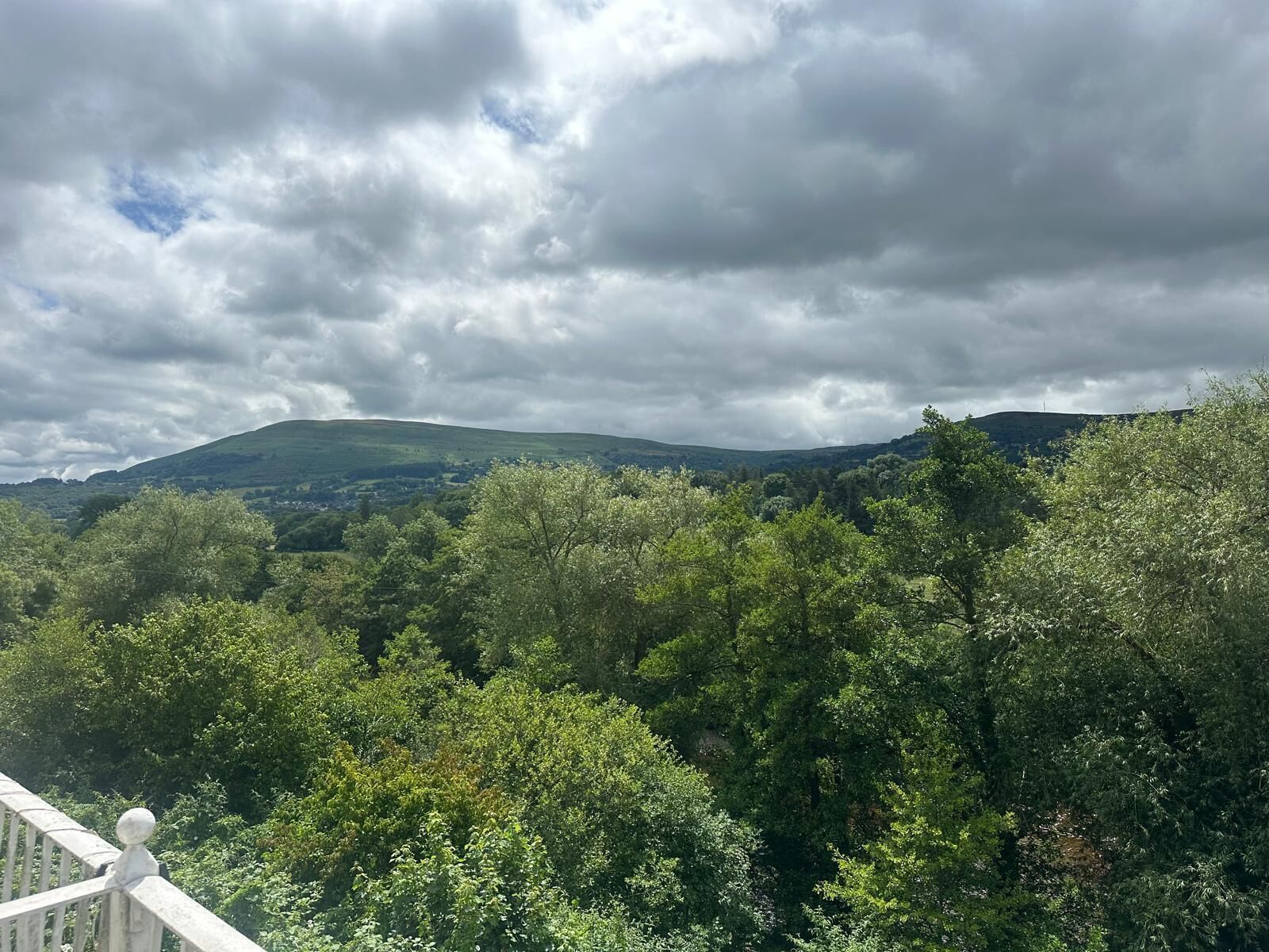 Vista de uma paisagem verdejante com colinas ondulantes e céu nublado.