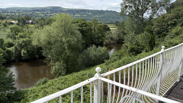 A riverside view with a white metal railing and lush greenery.