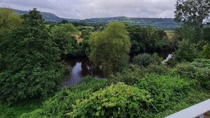 A lush green landscape with a river, trees, and hills in the background.