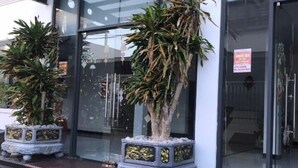 Una entrada moderna con puertas de cristal, una escalera de metal y dos plantas en macetas.