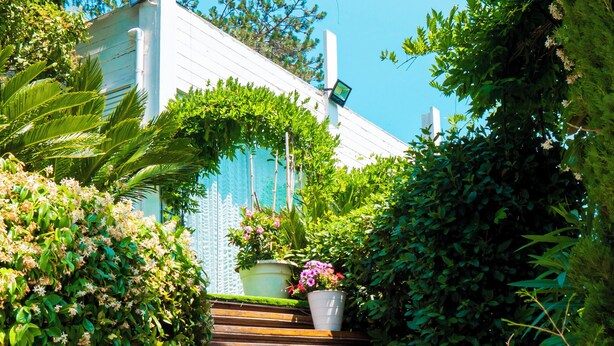 Una escalera de madera conduce a un edificio blanco con techo verde, rodeado de abundante vegetación y plantas con flores.