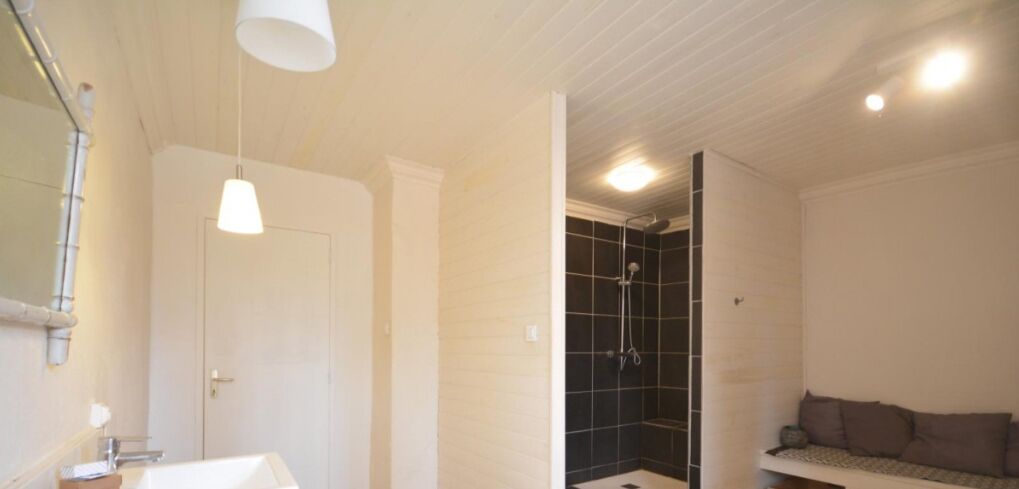 Une salle de bain avec un lavabo blanc, un miroir, une douche aux carreaux noirs et un plafond blanc.