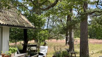 Un espacio de estar al aire libre de estilo rústico, con un banco de madera, una silla blanca y plantas en macetas.